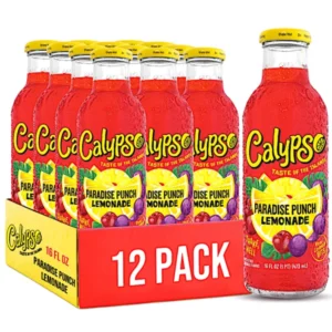 CALYPSO PARADISE PUNCH LEMONADE 16OZ 12 PACK