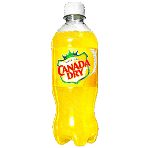 CANADA DRY PINEAPPLE 20 OZ 24 CASE