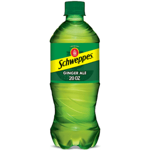 SCHWEPPES GINGER ALE 20 OZ 24 CASE