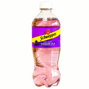 SCHWEPPES GINGER ALE GRAPE 20 OZ 24 CASE